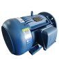 MOTOR TRIFASICO MERCOSUR