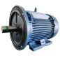 MOTOR TRIFASICO MERCOSUR