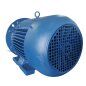 MOTOR TRIFASICO MERCOSUR