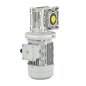 REDUTOR RV50